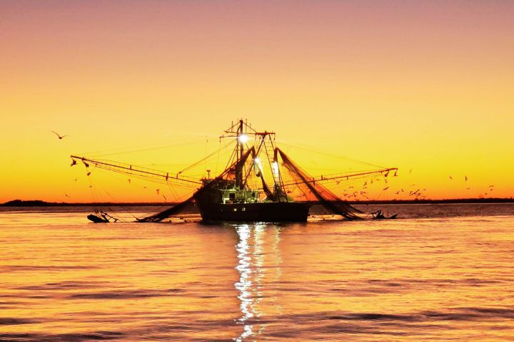 a boat in a large body of water